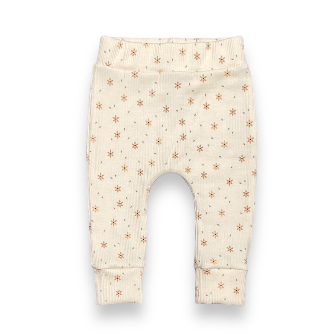 Newborn jogger starflower